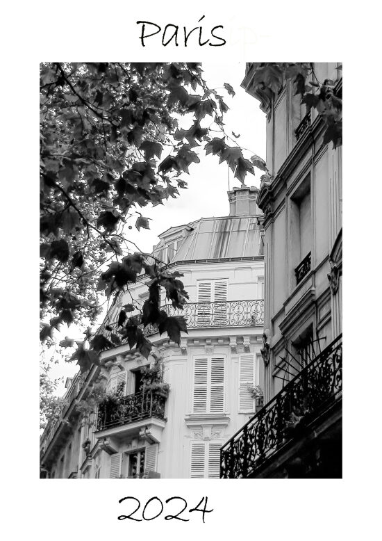 Affiche Paris.jpg
